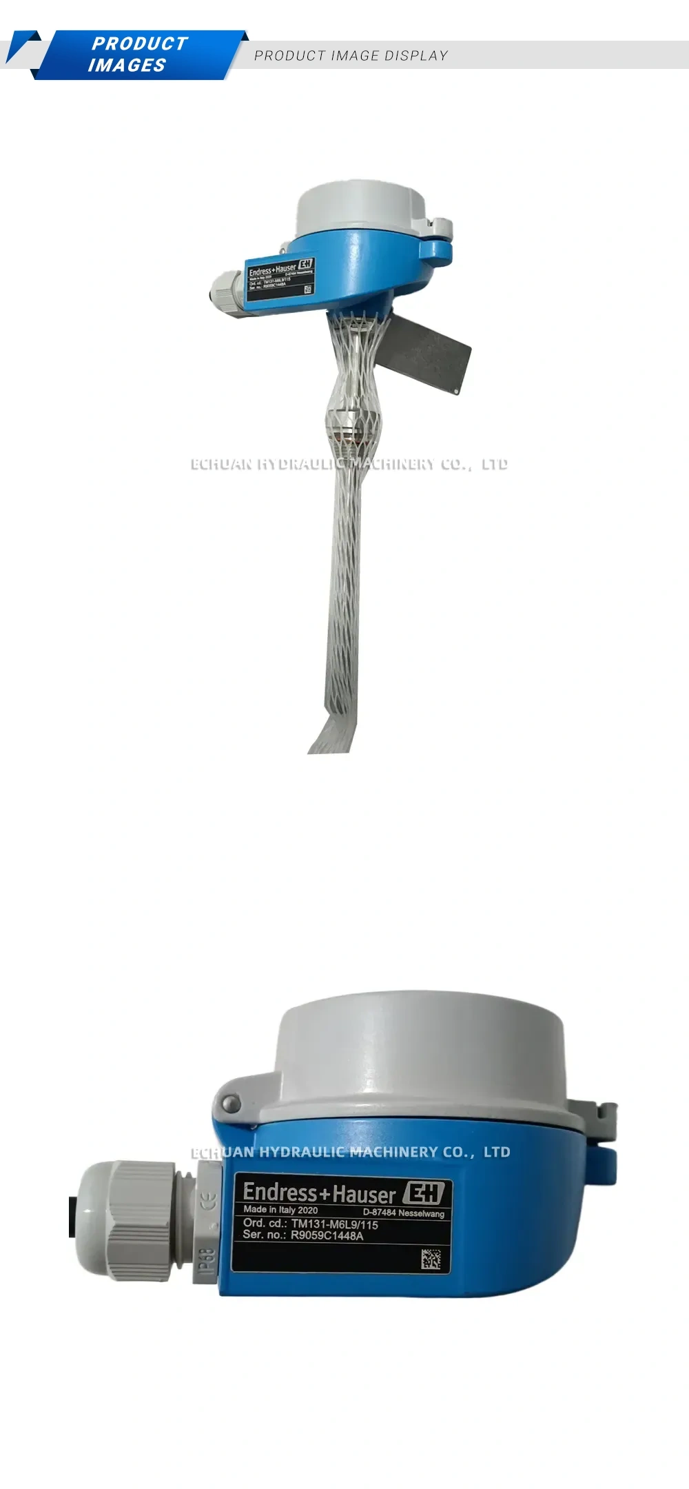 Endress+Hauser TM131-M6L9/115 Temperature Sensor Description