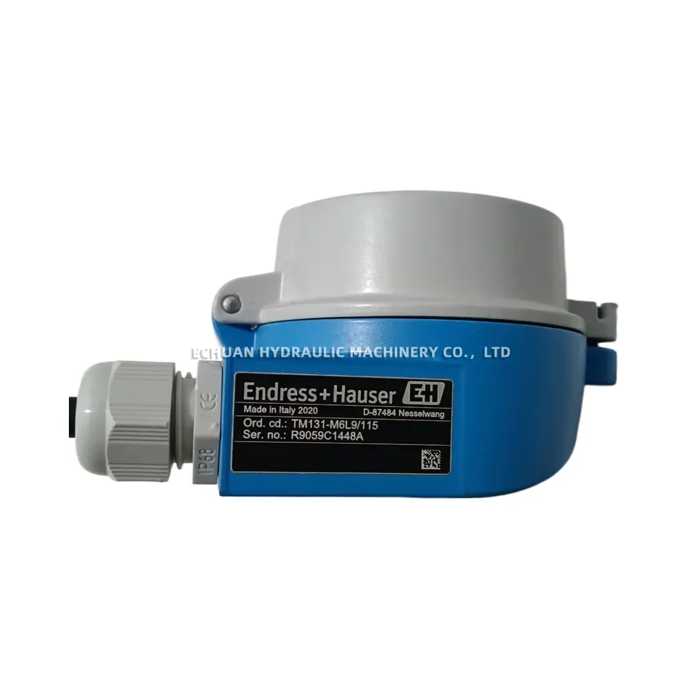 Endress+Hauser TM131-M6L9/115 Temperature Sensor