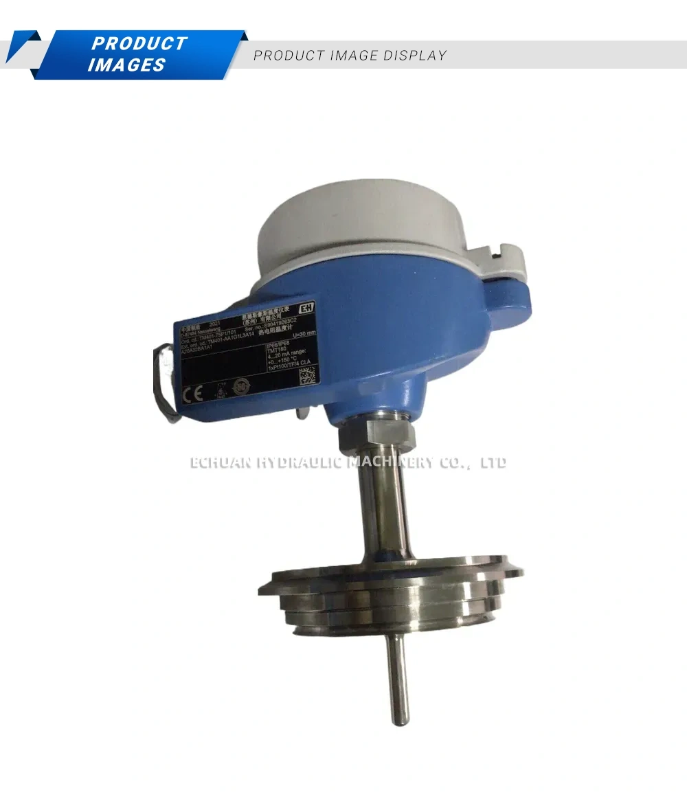 Endress+Hauser TMT180 Head-mount Temperature Transmitter Description