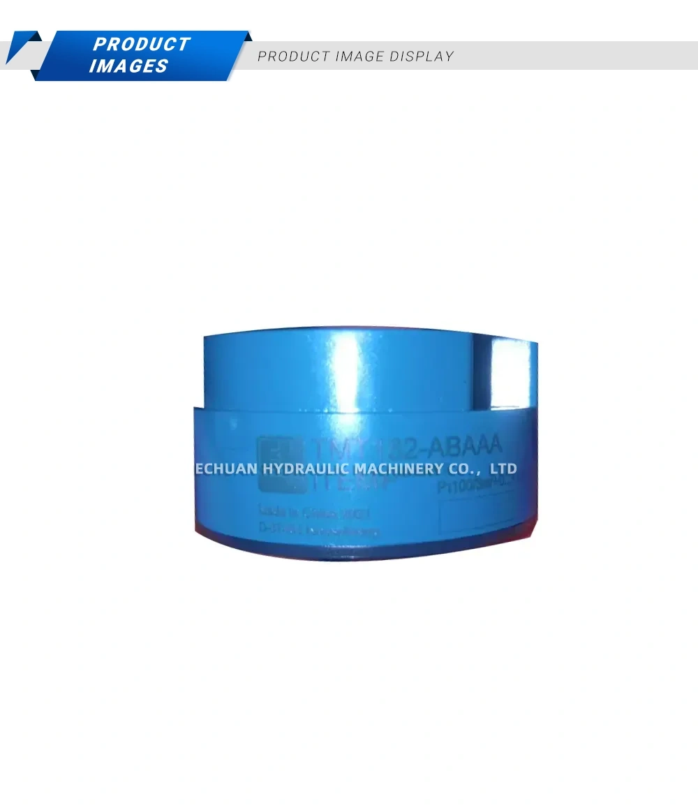 Endress+Hauser TMY182-ABAAA Temperature Sensor Description