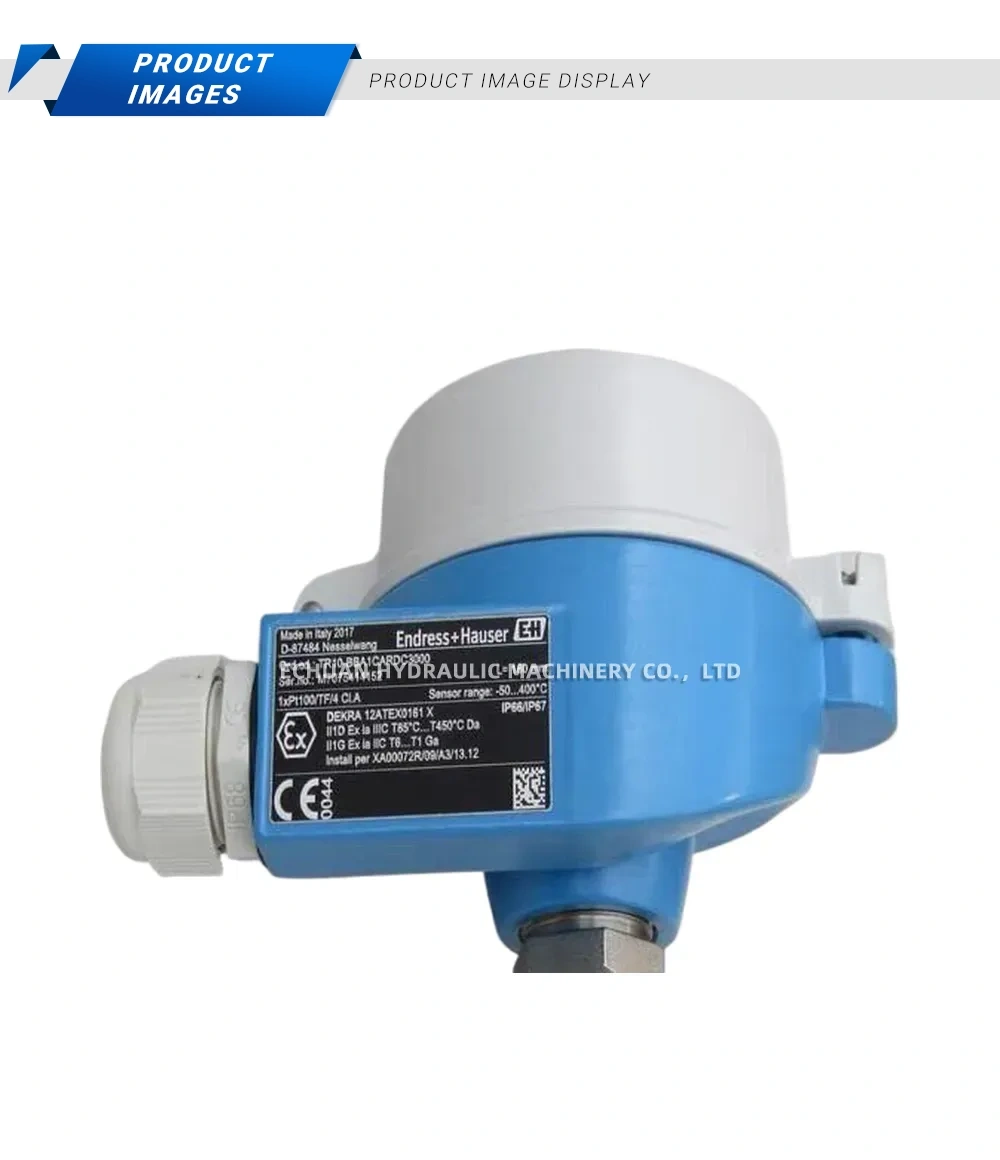 Endress+Hauser TR10-BBA1CARDC3000 Temperature Transmitter Description