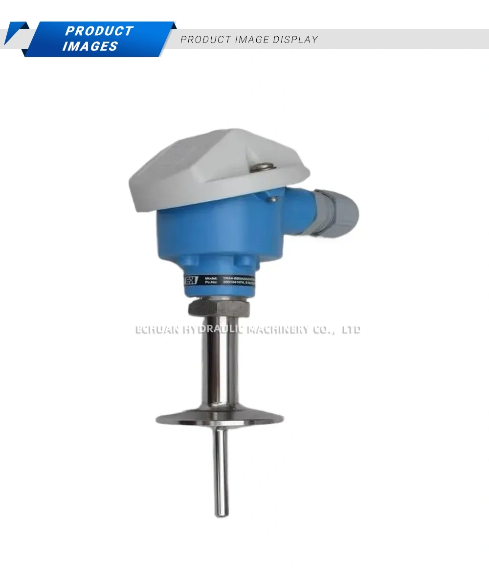 Endress+Hauser TR44-BB5AAS2HAT000 Resistance Thermometer Description