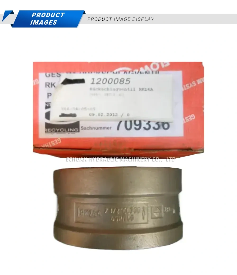 GESTRA RK16A Check Valve Description
