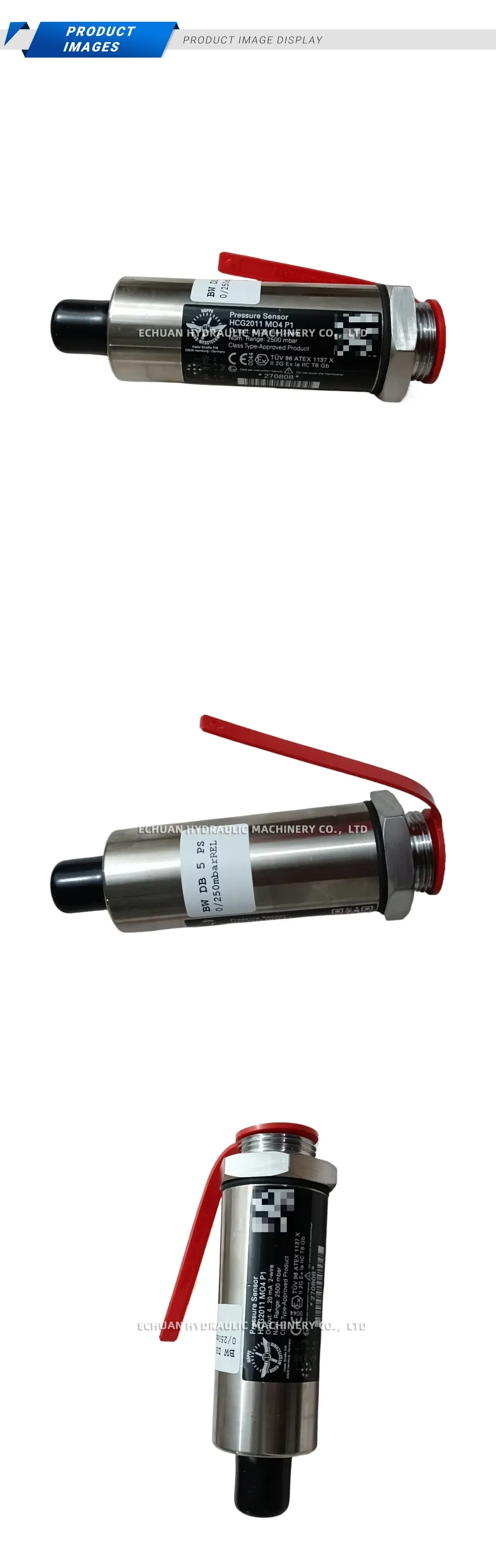 Hoppe Wind Messtechnik HCG2011 M04 P1 Pressure Sensor Description