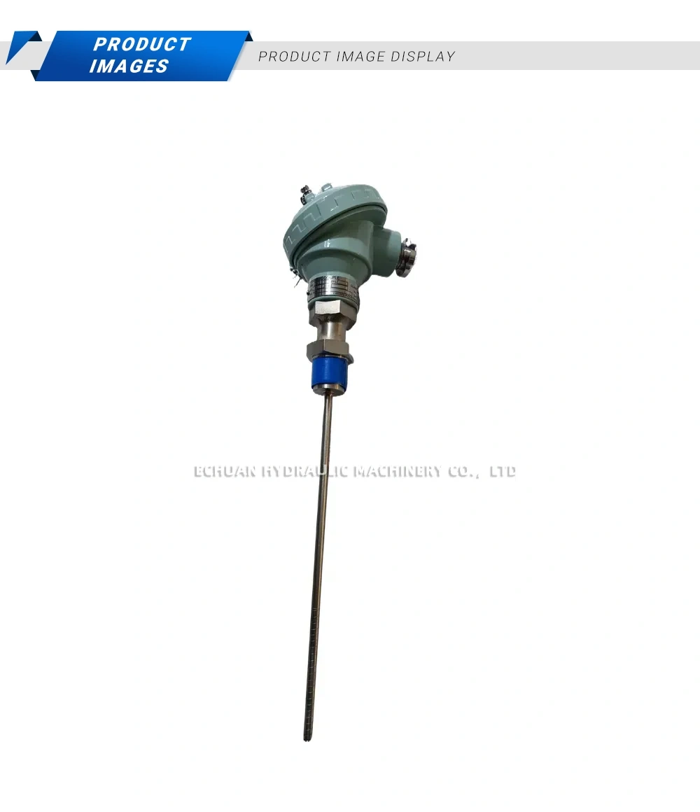 Industrial Temperature Sensor Description