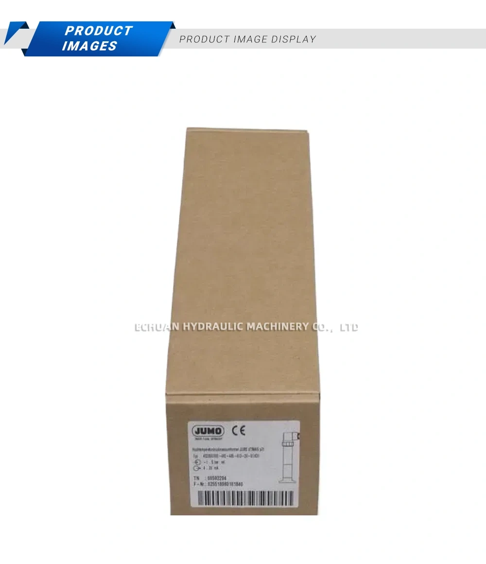 JUMO 402050/000-482-405-613-20-61/631 Hydrostatic Level Transmitter Description