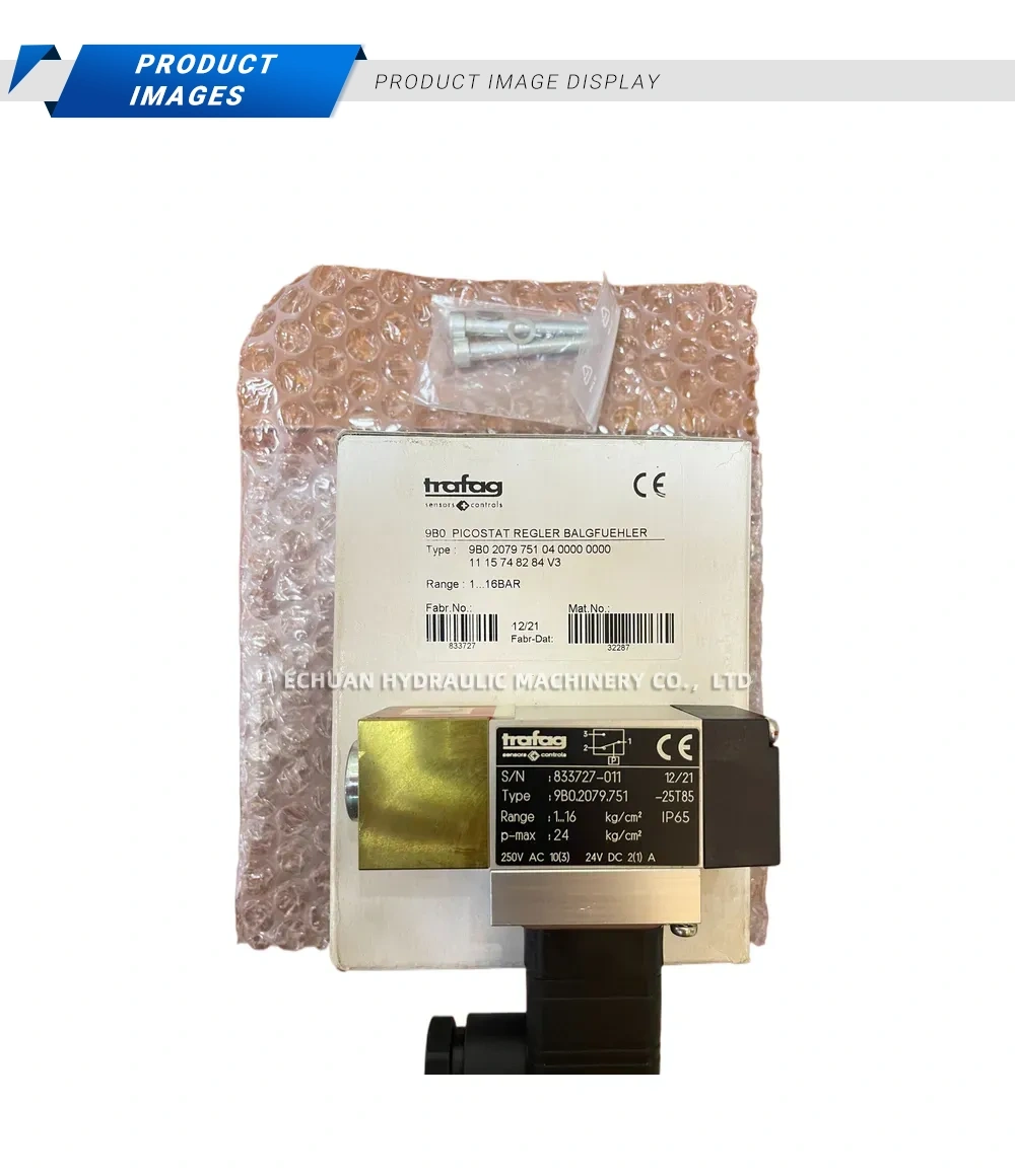 Trafag 9B0.2079.751 Pressure Switch / Controller Description