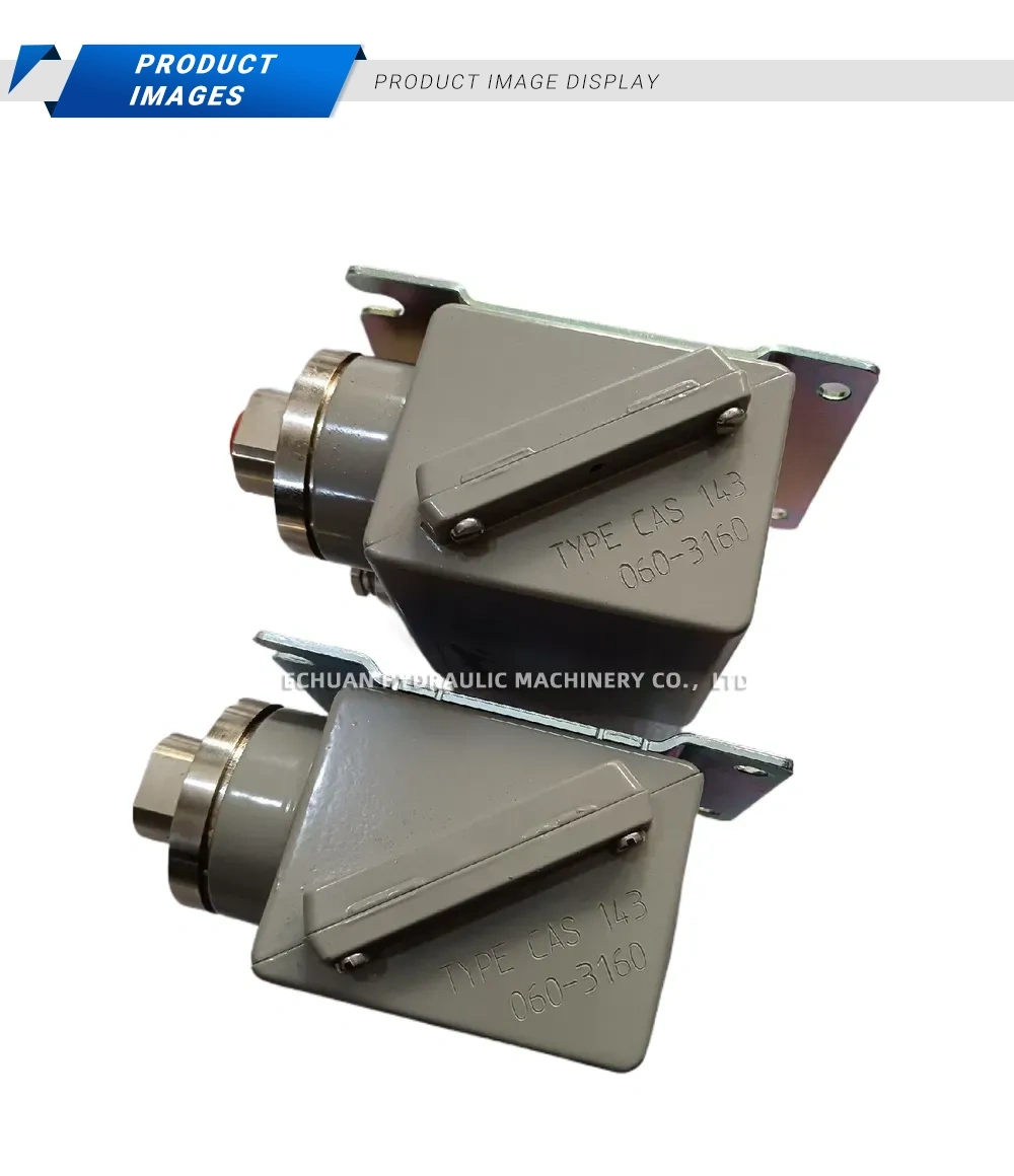 CAS 143 Industrial Pressure Switch Description