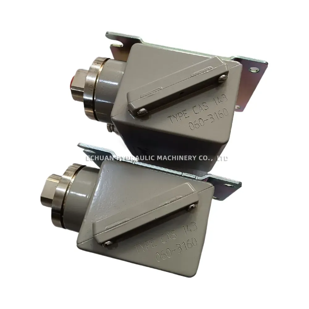 CAS 143 Industrial Pressure Switch