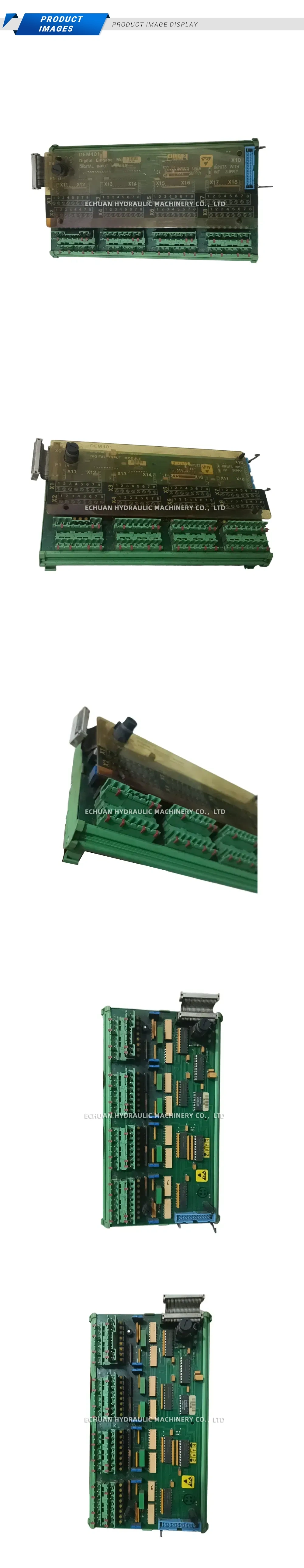DEM401 Digital Input Module Description