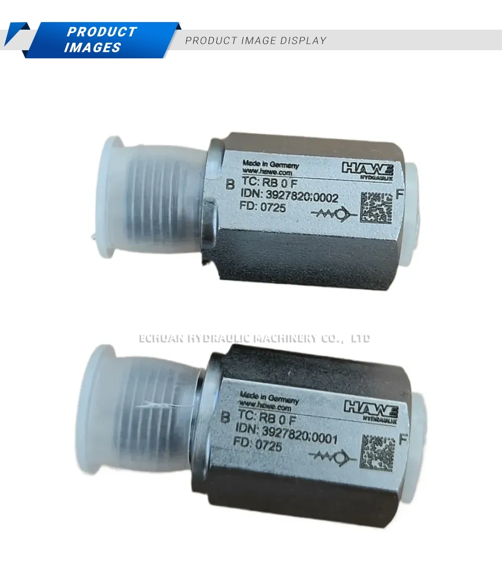 HAWE RB 0 F Hydraulic Pressure Relief Valve Description