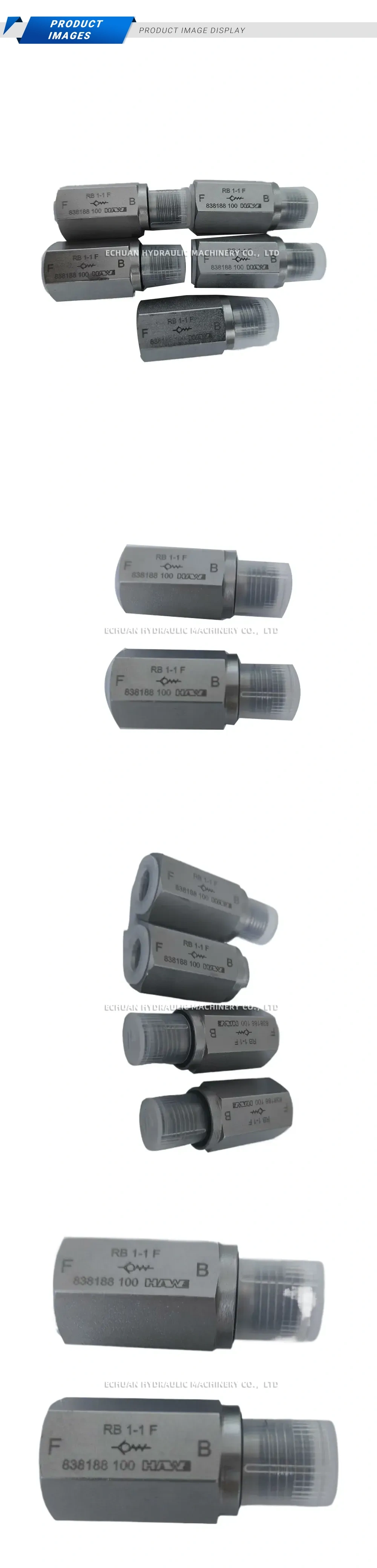 HAWE RB 1-1 F Hydraulic Back Pressure Valve Description