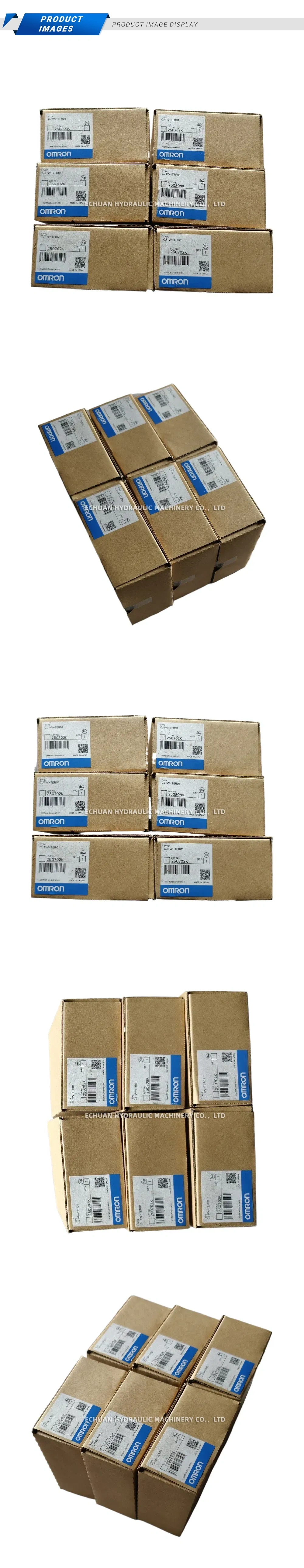 OMRON CJ1W-TER01 PLC Temperature Sensor Unit Description