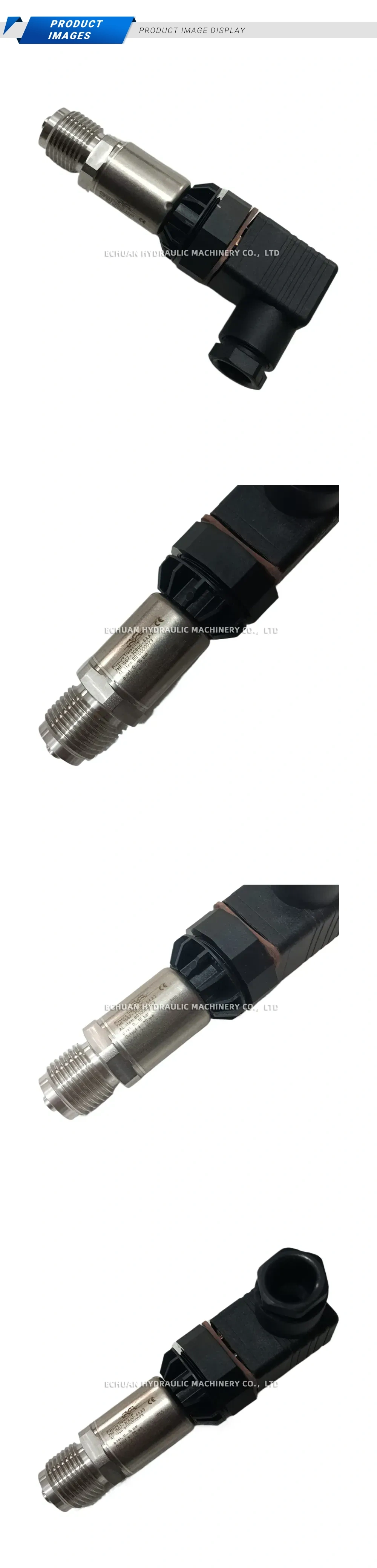 SICK ZM 1681-30900-6AA3 Pressure Transmitter Description