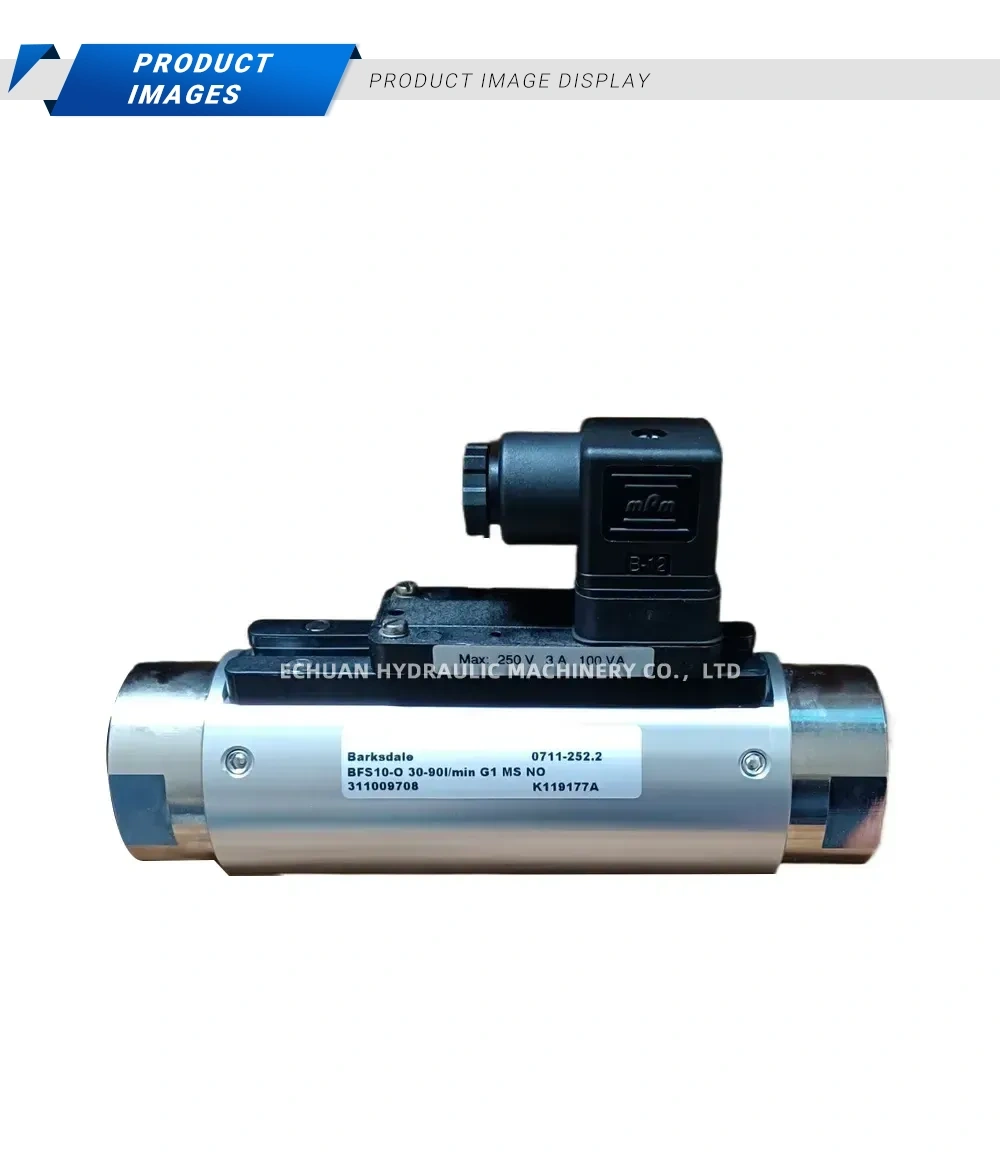 Barksdale BFS10-O Flow Switch Description