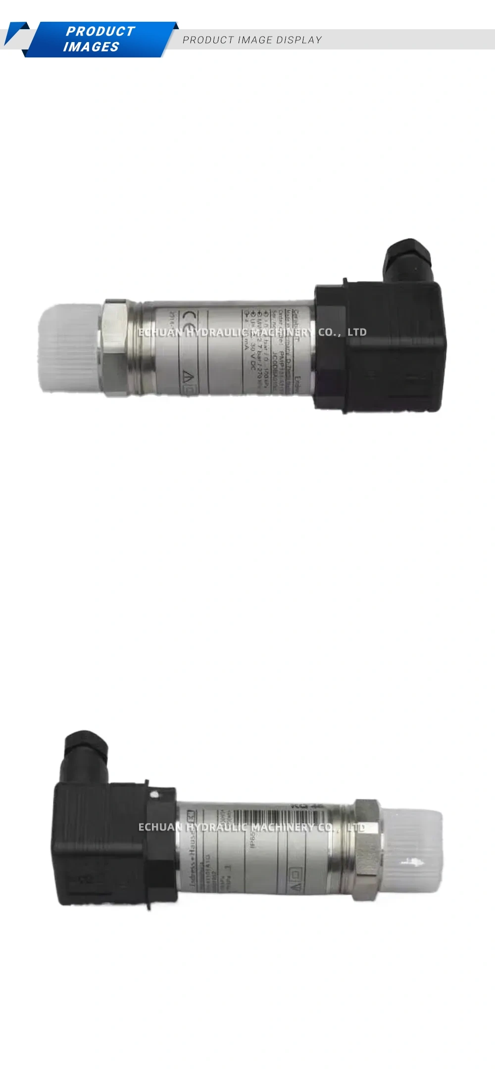 Endress+Hauser PMP11 Pressure Transmitter Description