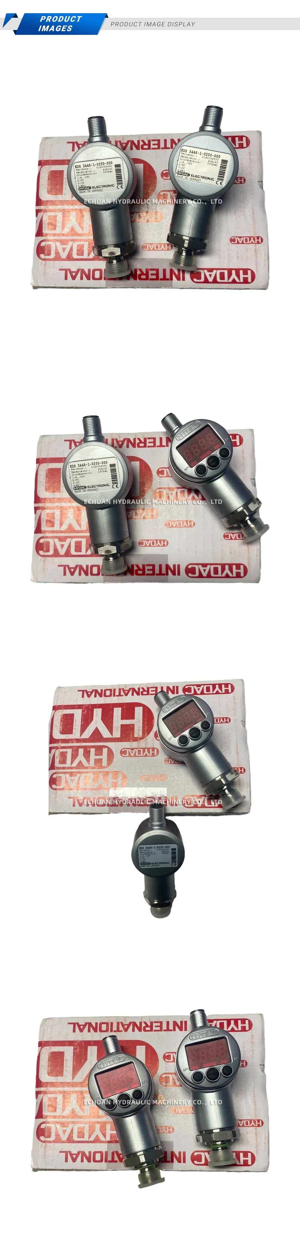 HYDAC BDS 3446-1-0250-000 Digital Pressure Sensor Description