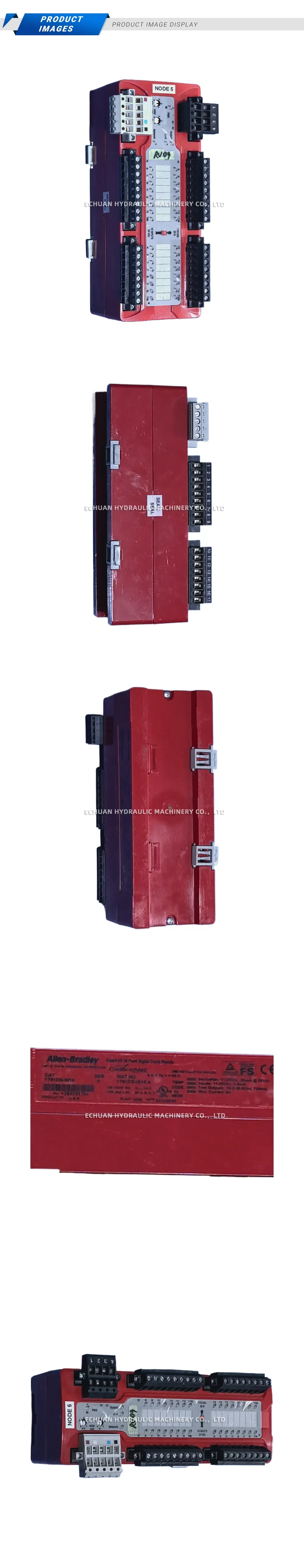 Allen-Bradley 1791DS-IB16 Guard I/O 16 Point Digital Combo Module Description