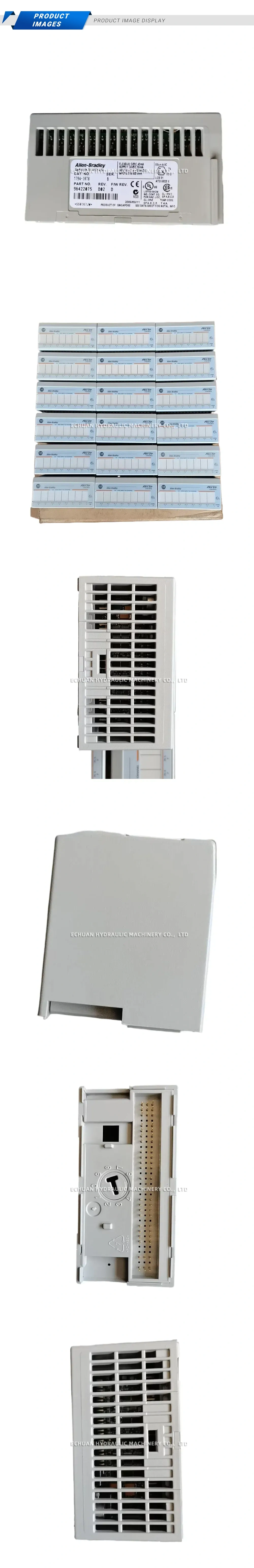 Allen-Bradley 1794-IRT8 Flex I/O RTD Input Module Description