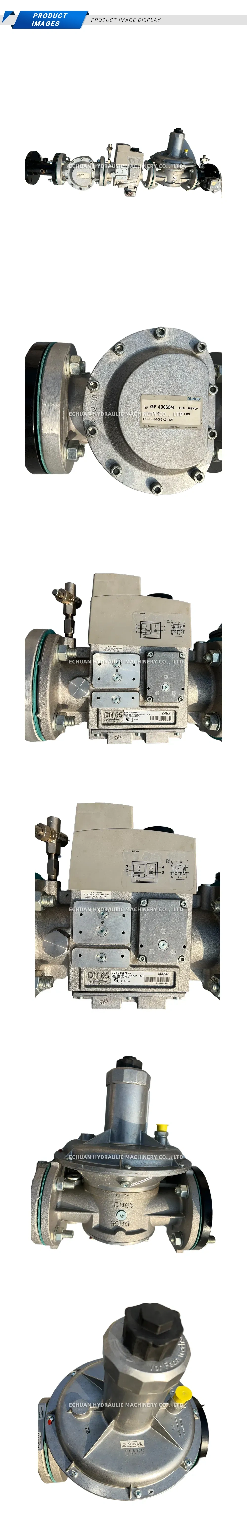 DUNGS DMV 5065/624 eco / GF 40065/4 Gas Train Assembly Description