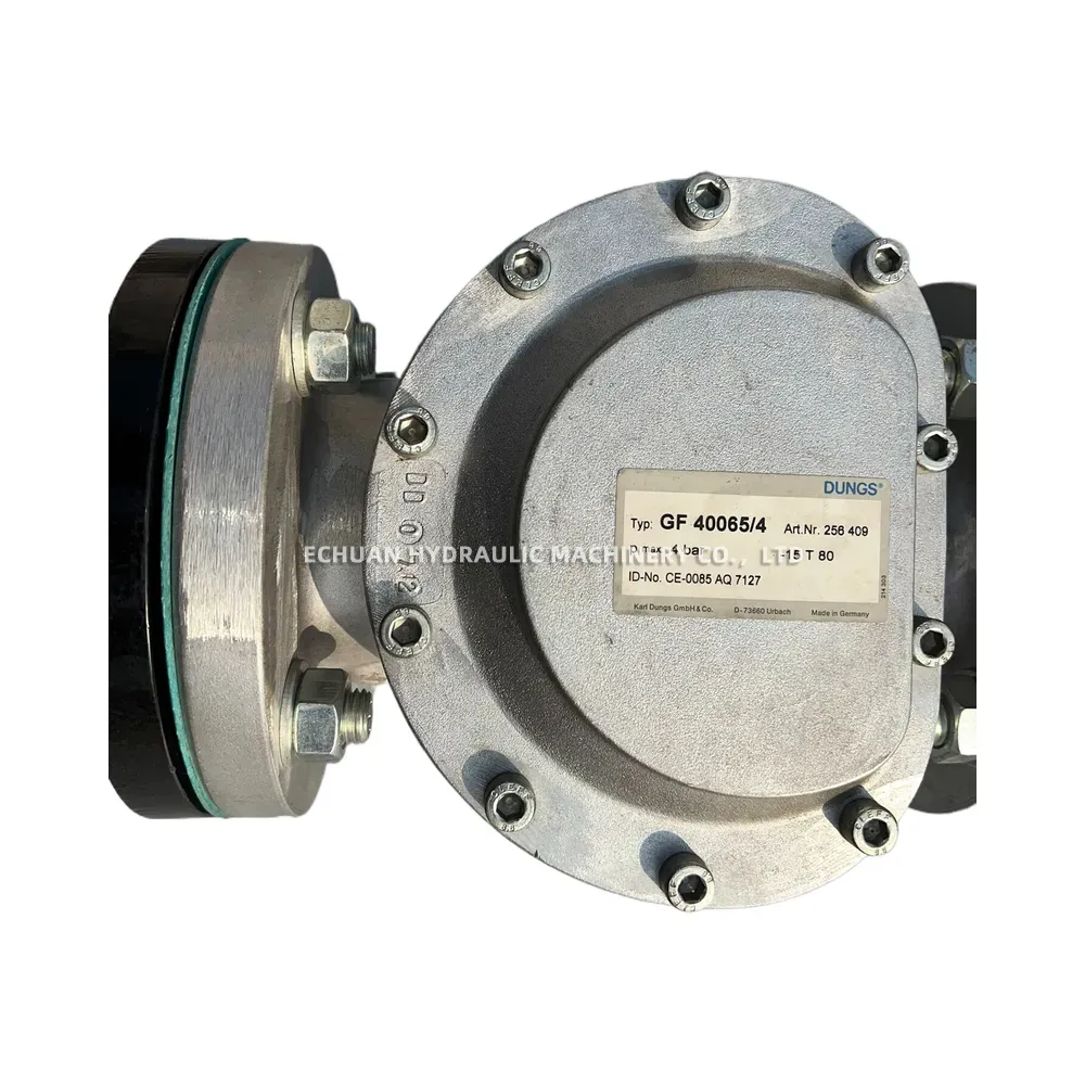 DUNGS DMV 5065/624 eco / GF 40065/4 Gas Train Assembly