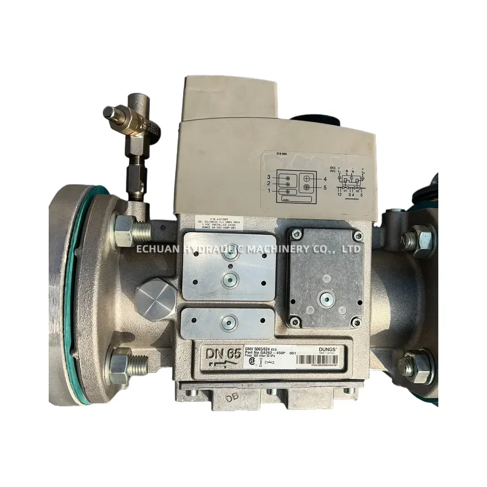 DUNGS DMV 5065/624 eco / GF 40065/4 Gas Train Assembly