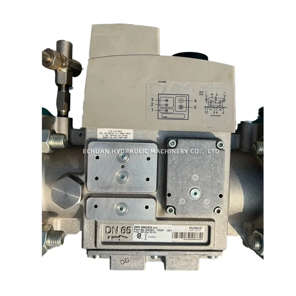 DUNGS DMV 5065/624 eco / GF 40065/4 Gas Train Assembly