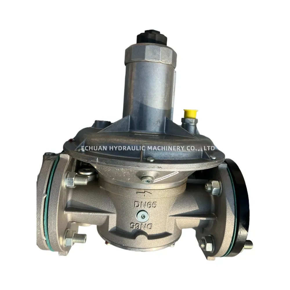 DUNGS DMV 5065/624 eco / GF 40065/4 Gas Train Assembly