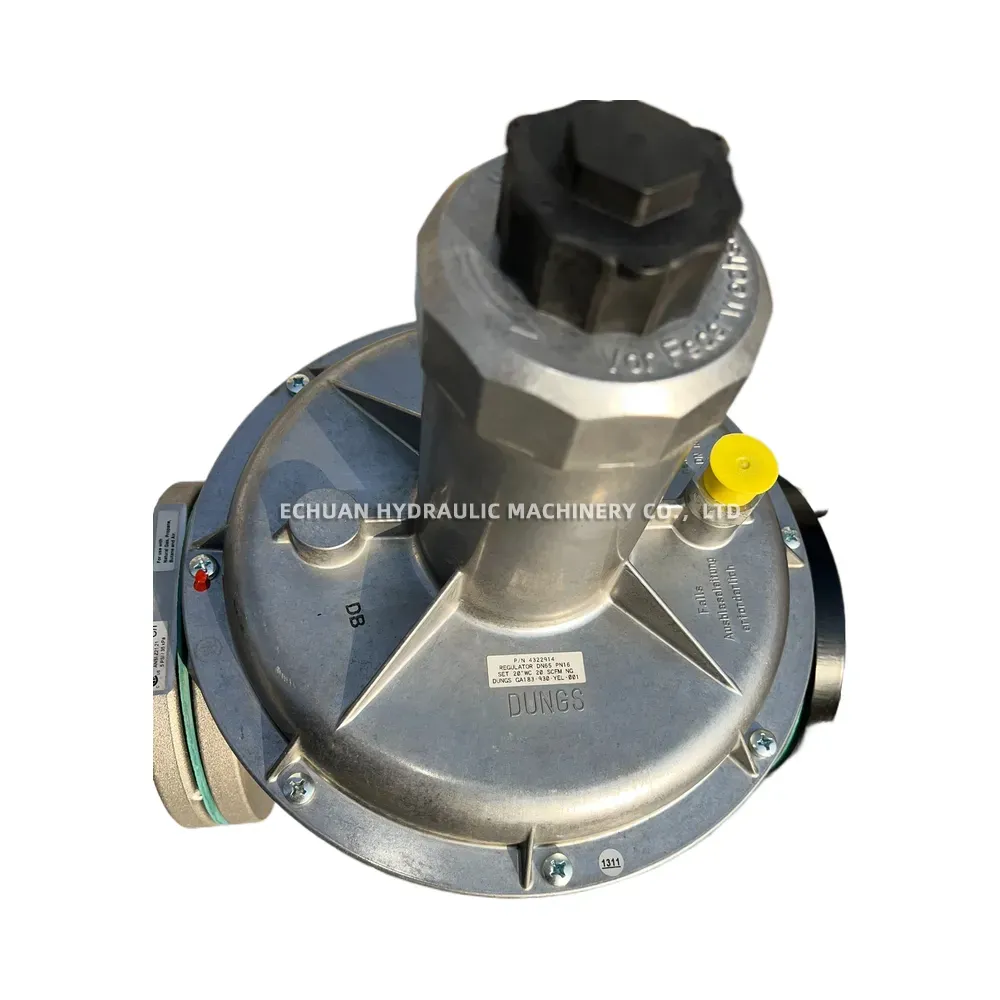 DUNGS DMV 5065/624 eco / GF 40065/4 Gas Train Assembly