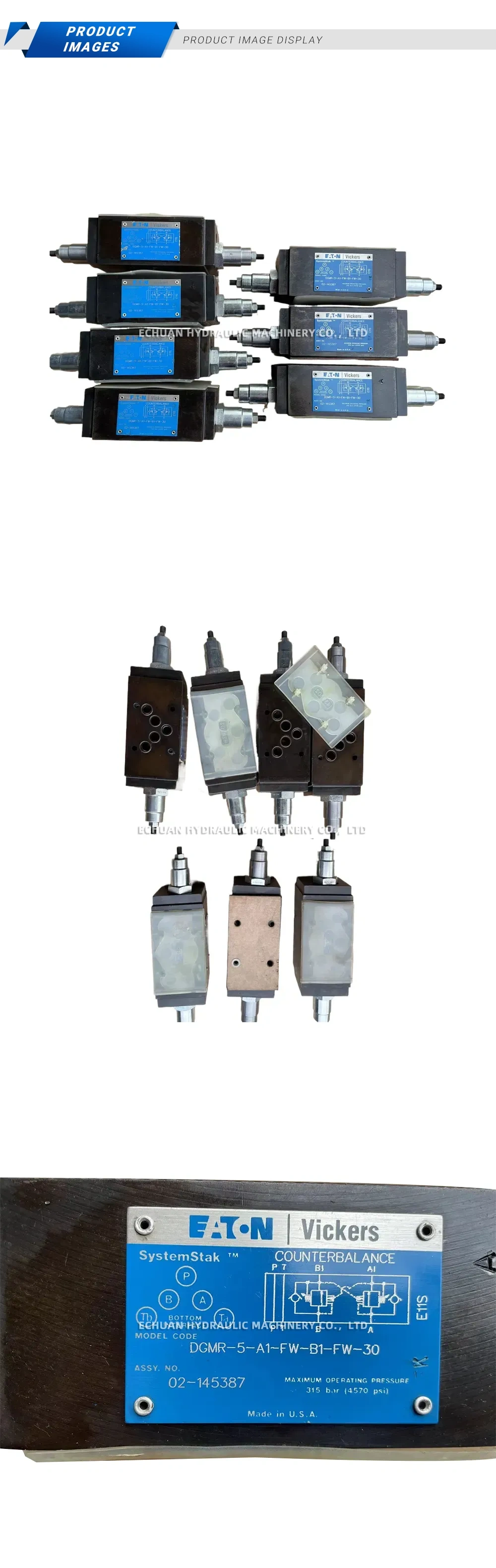 Eaton Vickers DGMR-5-A1-FW-B1-FW-30 Hydraulic Counterbalance Valve Description