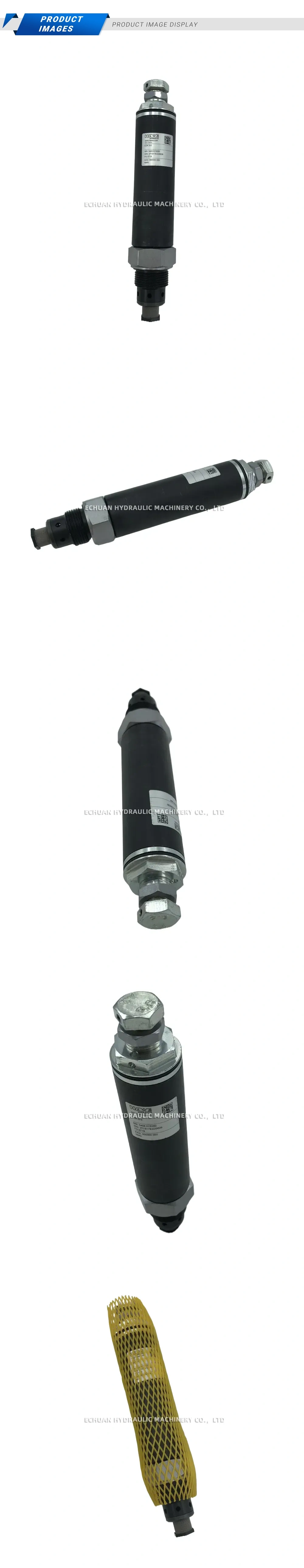 HAWE CDK 3-5 Hydraulic Check Valve Description