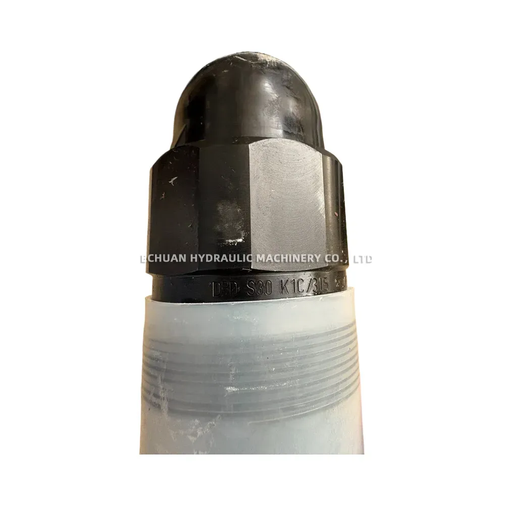 Rexroth DBD S30 K1C/315 Direct Operated Pressure Relief Valve