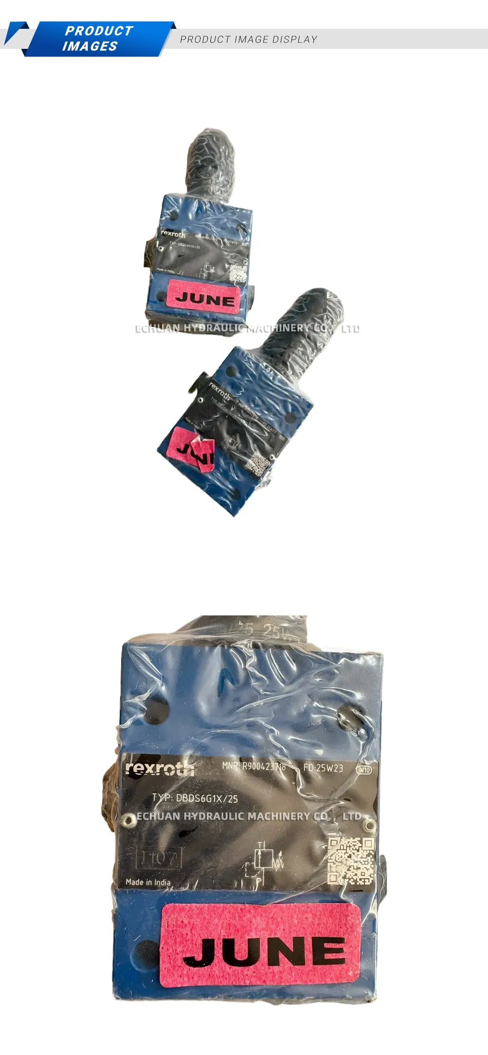 Rexroth DBDS6G1X/25 Pressure Relief Valve Description