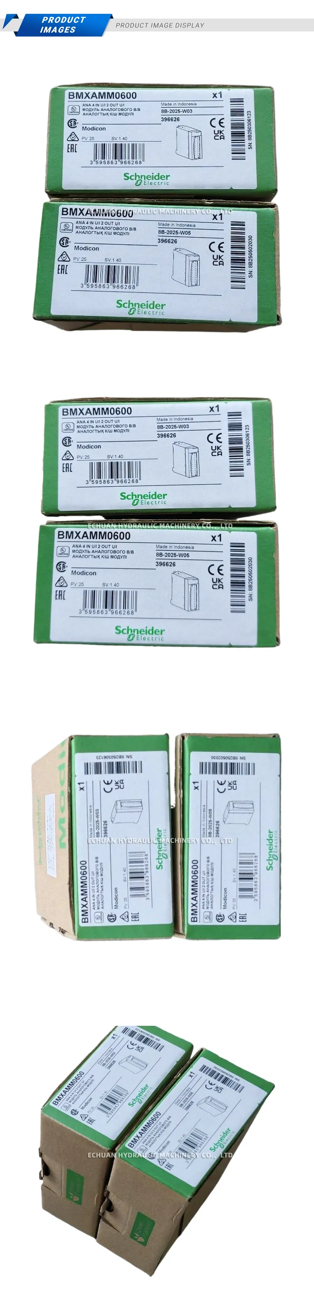 Schneider Electric BMXAMM0600 Analog Mixed Module Description
