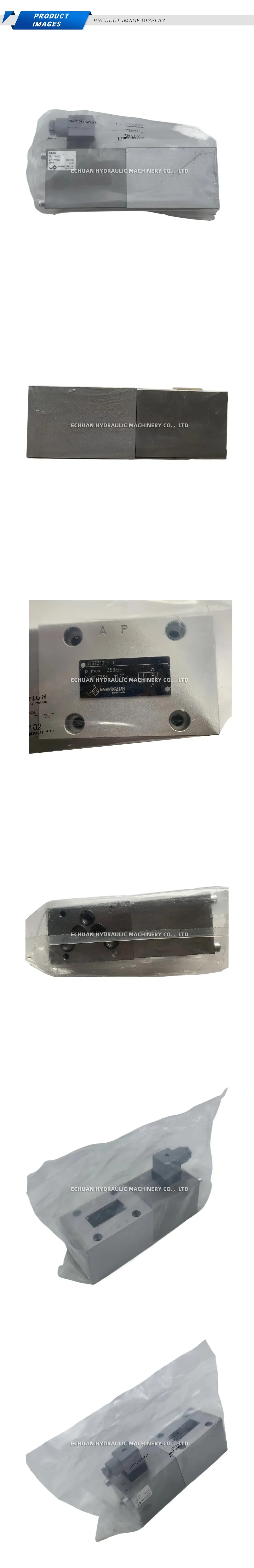 WANDFLUH AS22101a-G24 Solenoid Operated Seat Valve Description