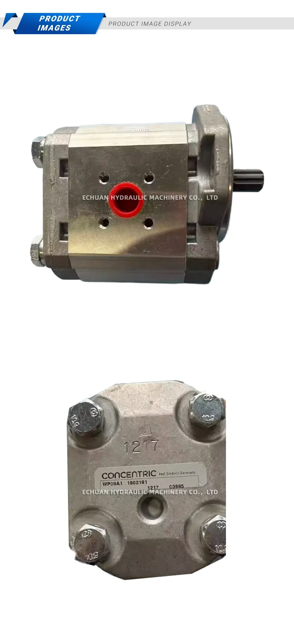 CONCENTRIC WP09A1 1802181 Hydraulic Gear Pump Description