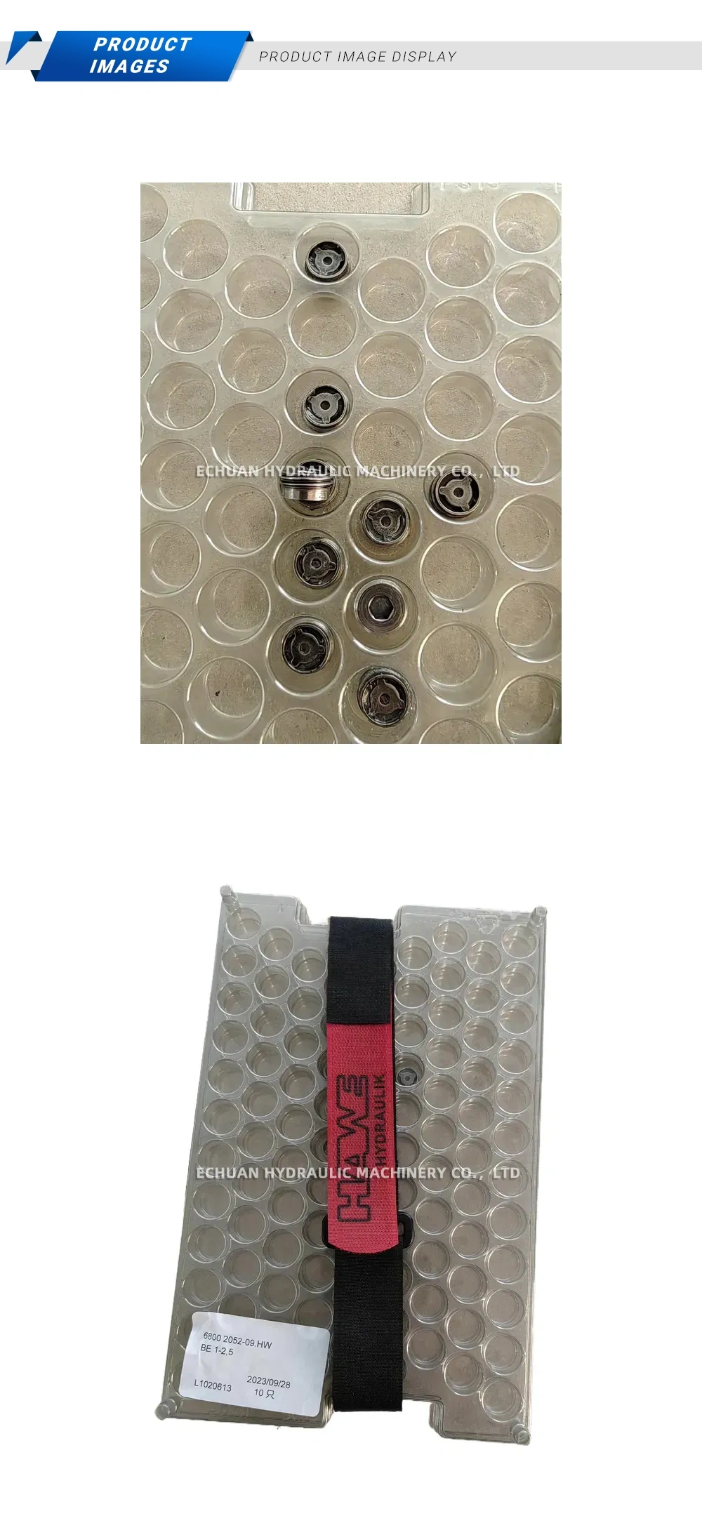 HAWE BE 1-2.5 Hydraulic Check Valve Cartridge Description