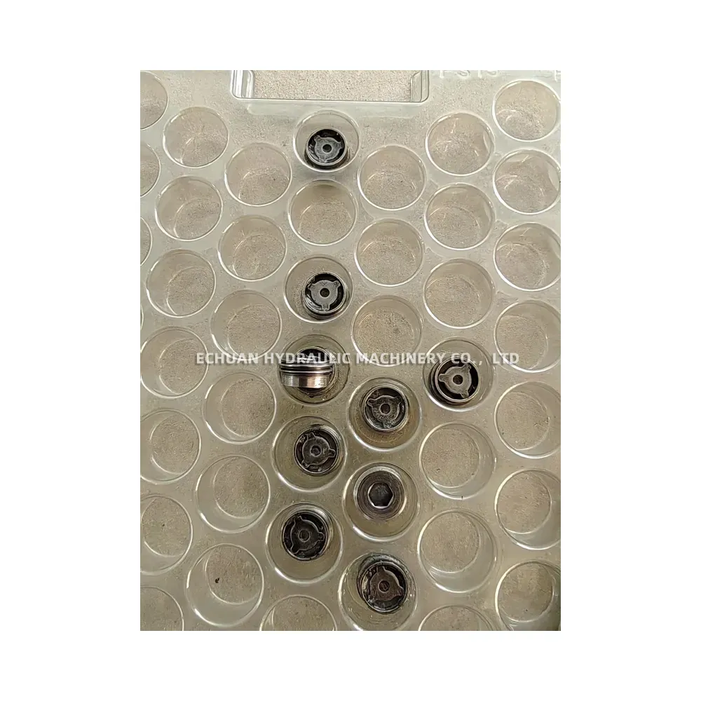 HAWE BE 1-2.5 Hydraulic Check Valve Cartridge