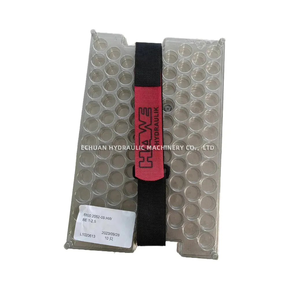 HAWE BE 1-2.5 Hydraulic Check Valve Cartridge