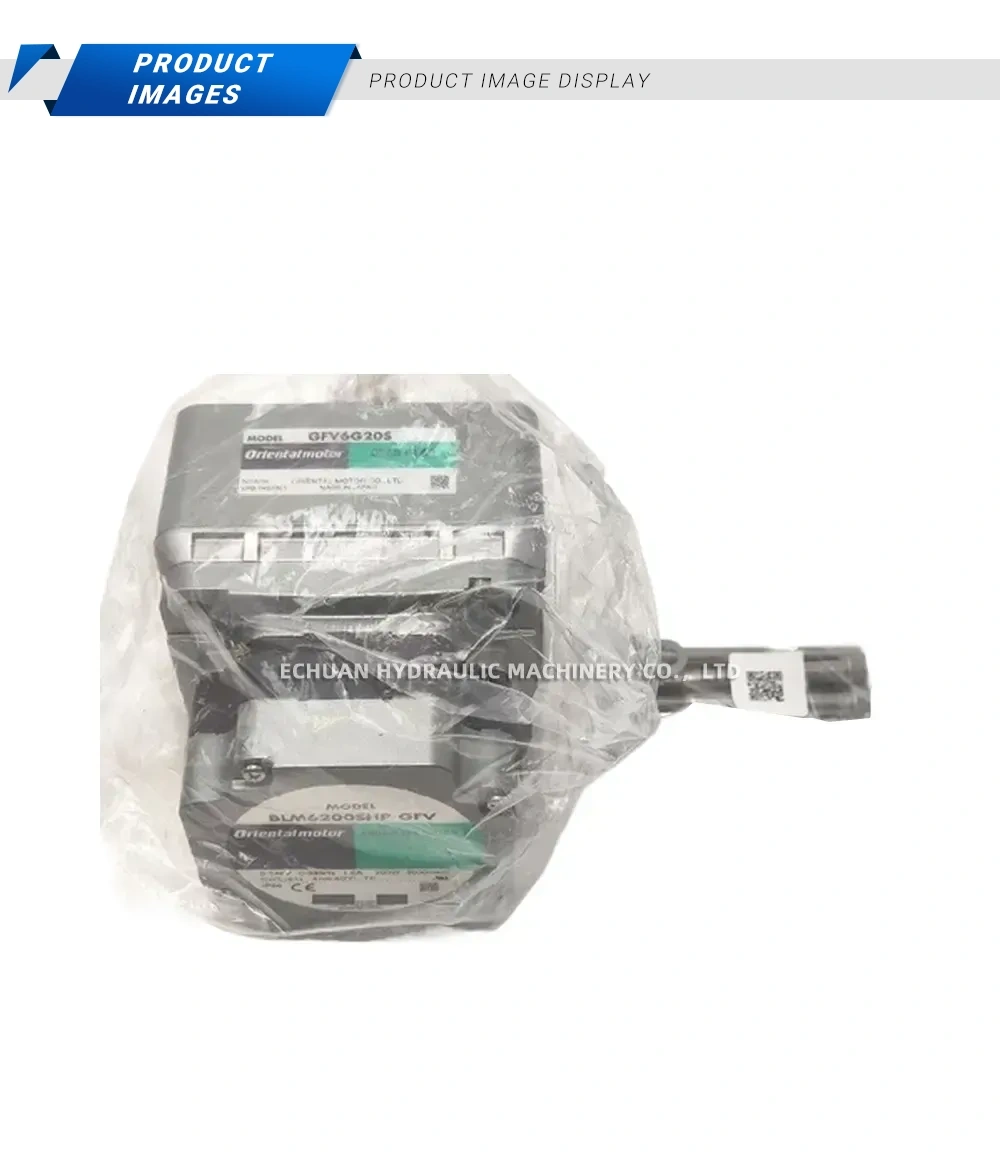 Oriental Motor BLM6200SHP-GFV Brushless Geared Motor Description