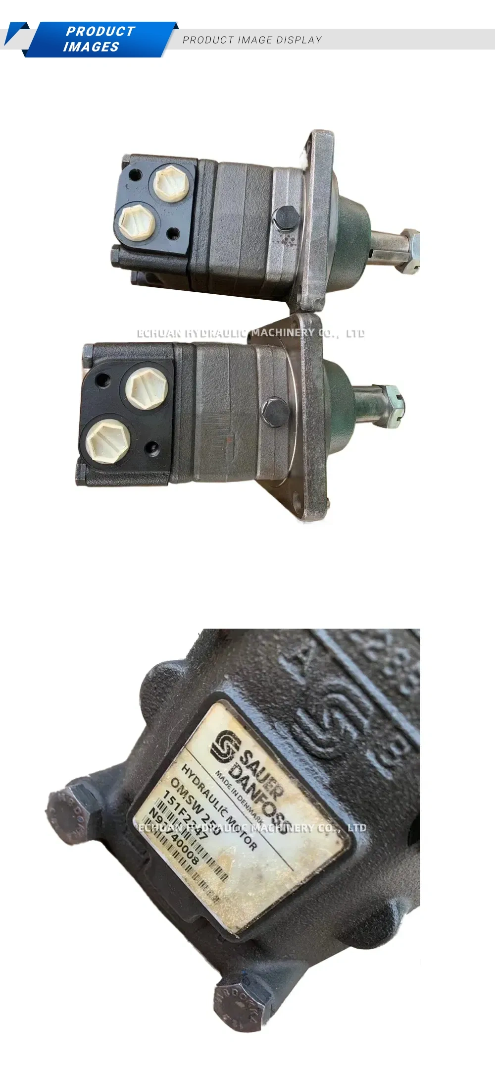 Sauer-Danfoss OMSW 250 Hydraulic Motor Description