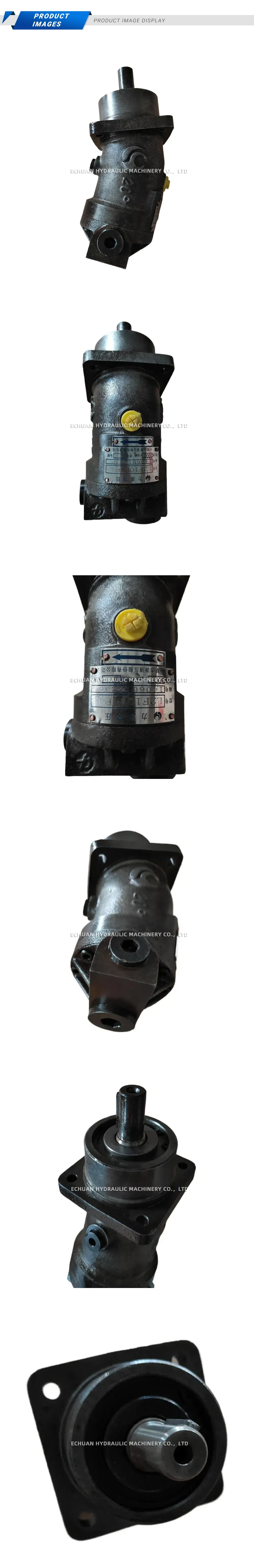 AVIC Liyuan Hydraulic L2F10R4P4 Axial Piston Hydraulic Pump Description