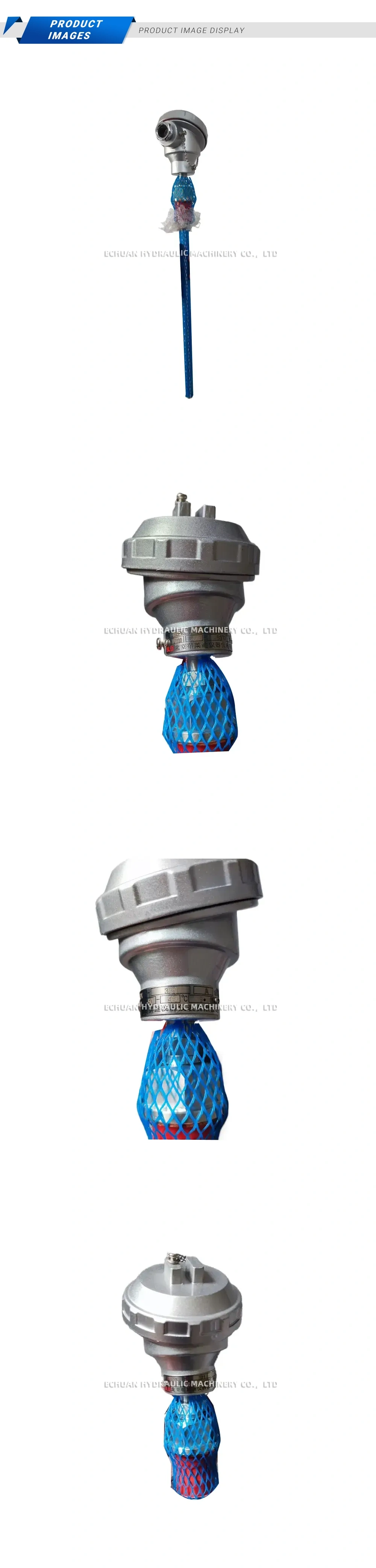 BLD WZPK-331 Armored Thermal Resistance (RTD) Temperature Sensor Description