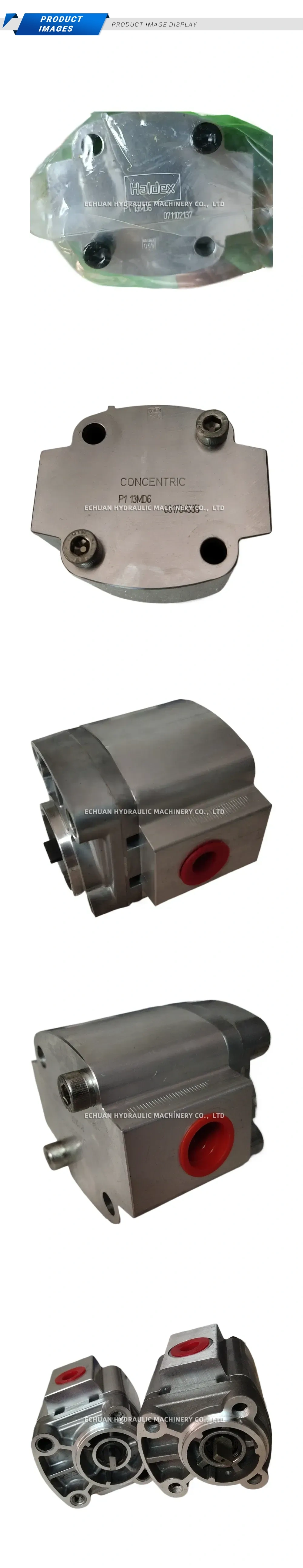 Concentric (Haldex) P1 13MD6 Hydraulic Gear Pump Description