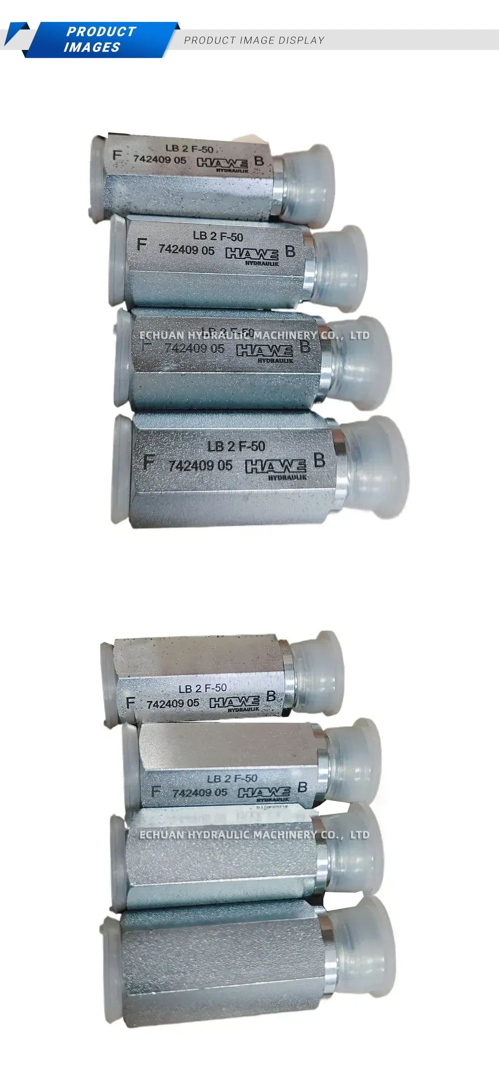 HAWE LB 2 F-50 Hydraulic Check Valve Description