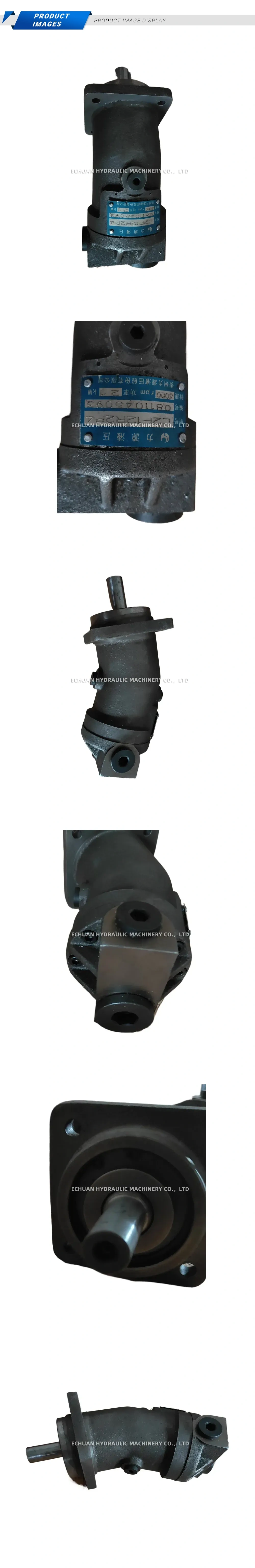 Liyuan L2F12R2P4 Hydraulic Axial Piston Pump (Bent Axis) Description