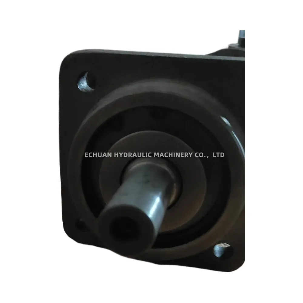 Liyuan L2F12R2P4 Hydraulic Axial Piston Pump (Bent Axis)